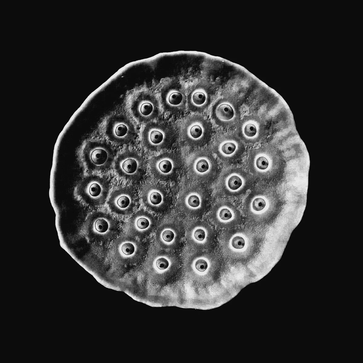 747 - Deep Space Opera Vinyl | Aquaregia